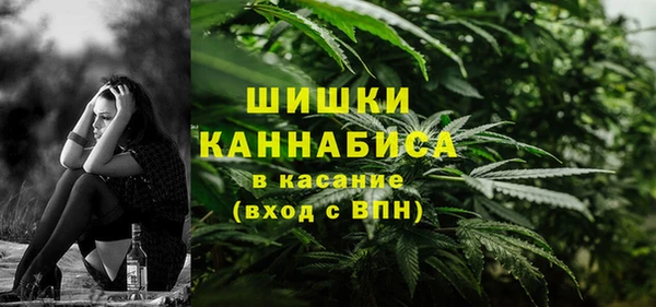 прущие грибы Переславль-Залесский