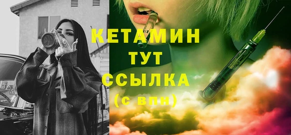 прущие грибы Переславль-Залесский
